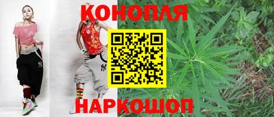 шишки Гатчина