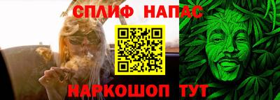 шишки Гатчина
