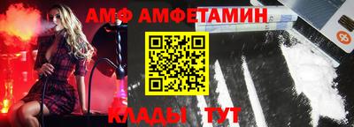 шишки Гатчина