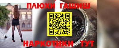 амф Гай