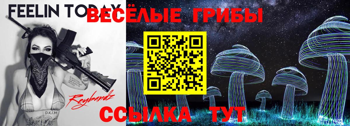 Галлюциногенные грибы GOLDEN TEACHER  Вход с VPN  Сургут  Псилоцибиновые грибы прущие грибы 